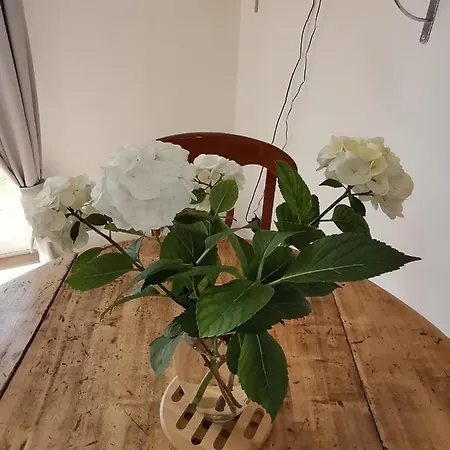 Le Vent Du Large * סאנגט