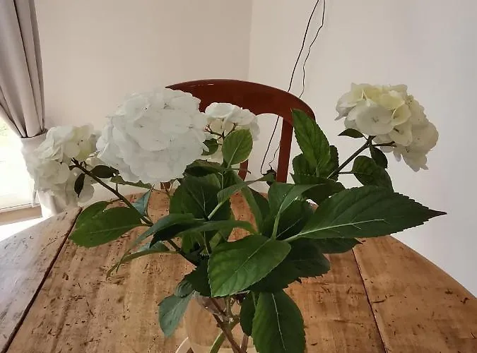 Le Vent Du Large * Sangatte